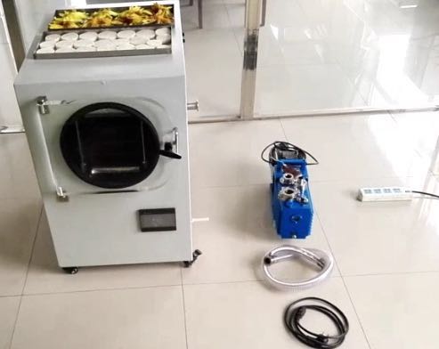 Máy sấy đông khô